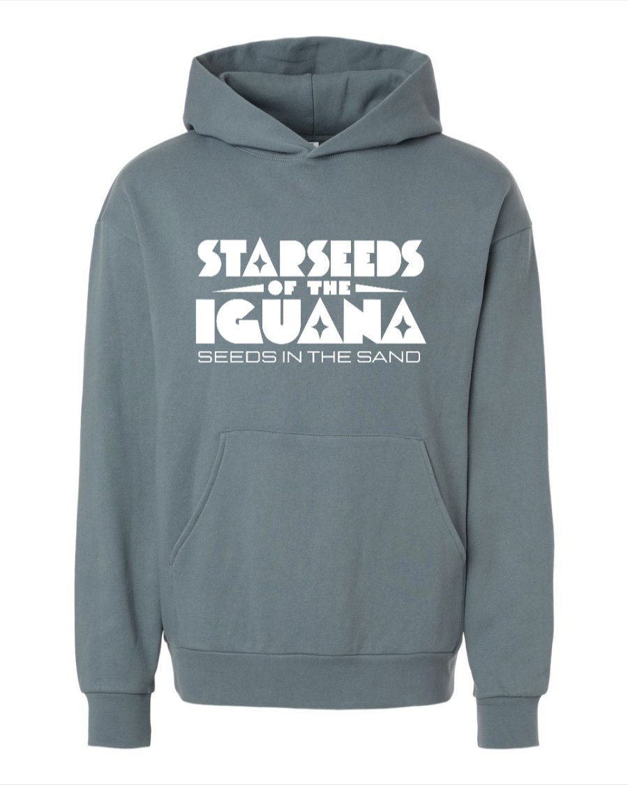 STARSEEDS OF THE IGUANA SEEDS IN THE SAND HOODIE